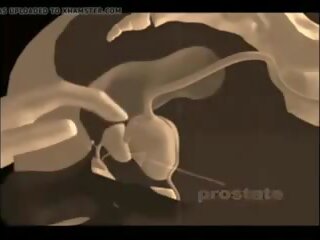 Jak na dej a prostaty masáž, volný xxx masáž dospělý film vid