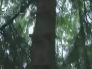 ציבורי מוצצת דונג ב ה יער